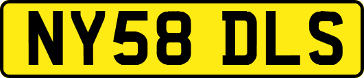 NY58DLS