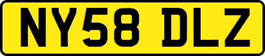 NY58DLZ