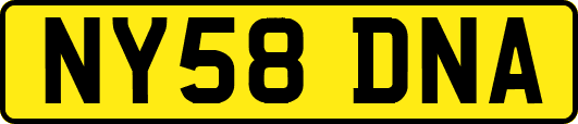 NY58DNA