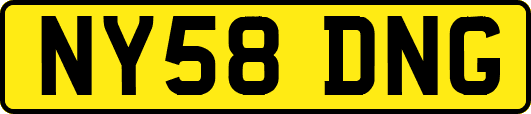 NY58DNG