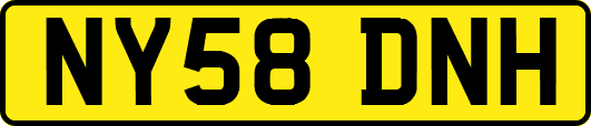 NY58DNH
