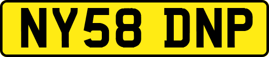 NY58DNP