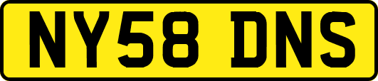 NY58DNS