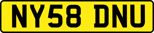 NY58DNU