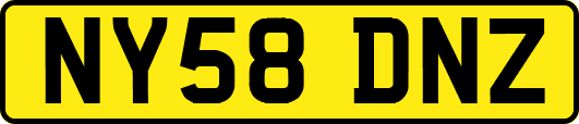NY58DNZ