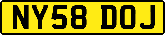 NY58DOJ
