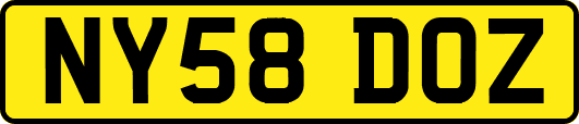 NY58DOZ