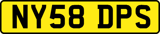 NY58DPS