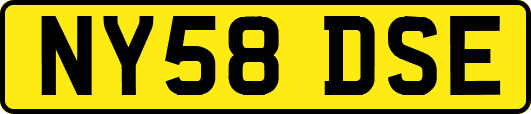 NY58DSE