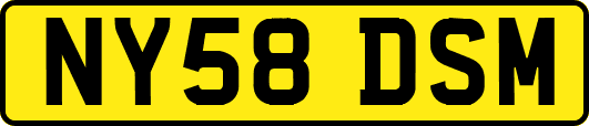 NY58DSM