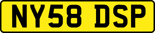 NY58DSP