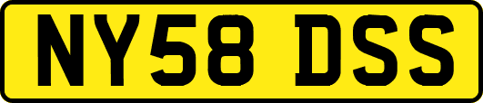 NY58DSS