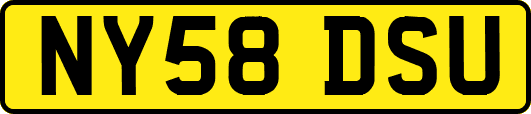 NY58DSU