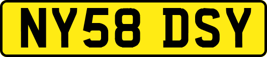 NY58DSY