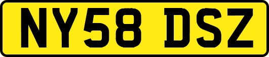 NY58DSZ