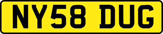 NY58DUG