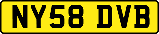NY58DVB