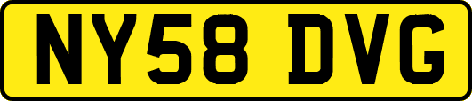 NY58DVG