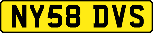 NY58DVS