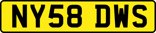 NY58DWS