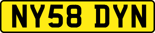 NY58DYN