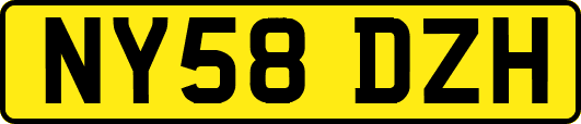 NY58DZH