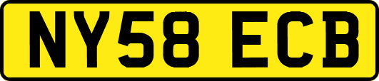 NY58ECB