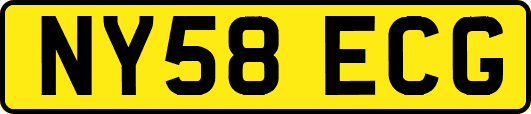 NY58ECG