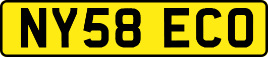 NY58ECO