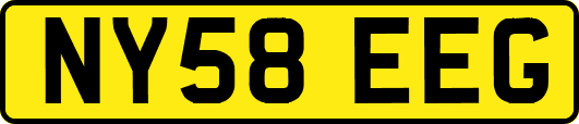 NY58EEG