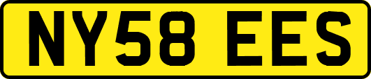 NY58EES