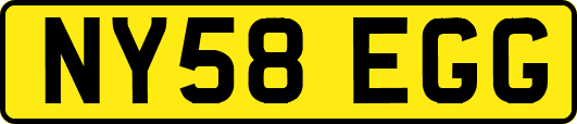 NY58EGG