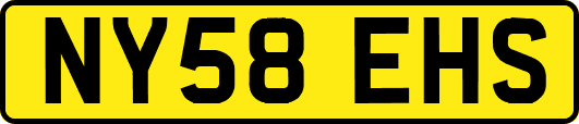 NY58EHS