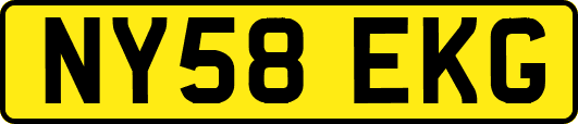 NY58EKG