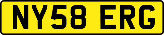 NY58ERG