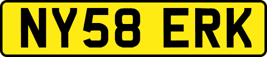 NY58ERK