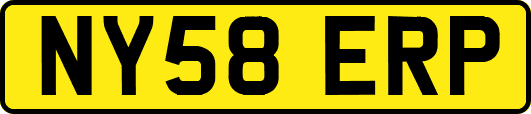 NY58ERP