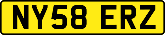 NY58ERZ