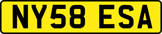 NY58ESA