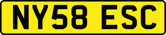 NY58ESC