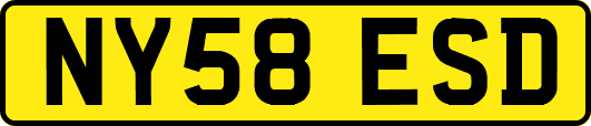 NY58ESD