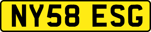 NY58ESG