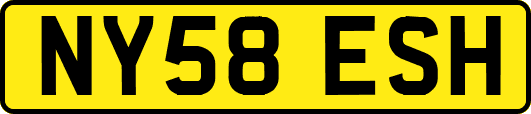 NY58ESH