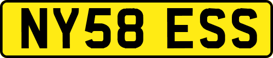 NY58ESS