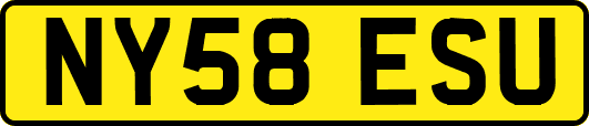 NY58ESU