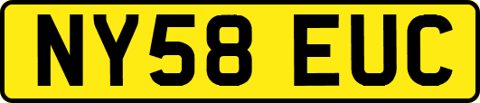 NY58EUC