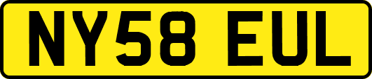 NY58EUL