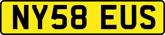 NY58EUS