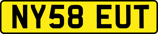 NY58EUT