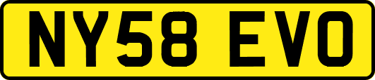NY58EVO
